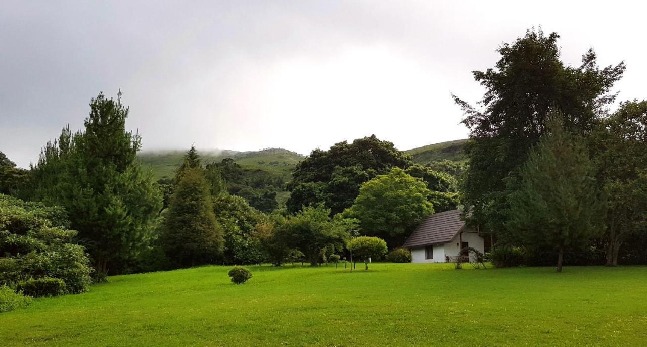 Wild Forest Inn Graskop Exterior photo
