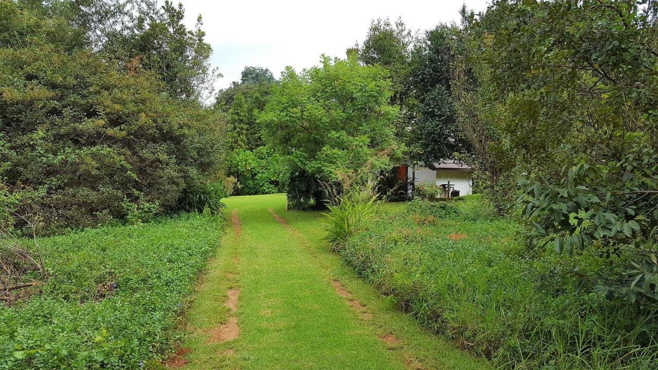 Wild Forest Inn Graskop Exterior photo