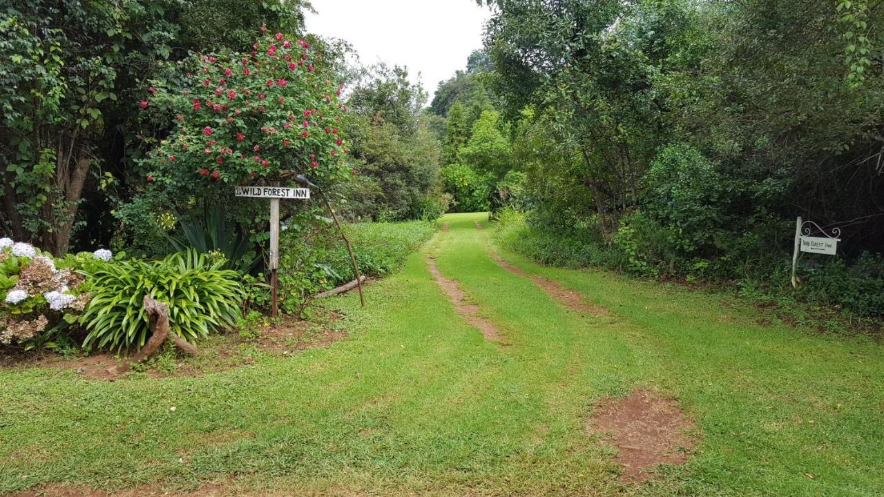 Wild Forest Inn Graskop Exterior photo