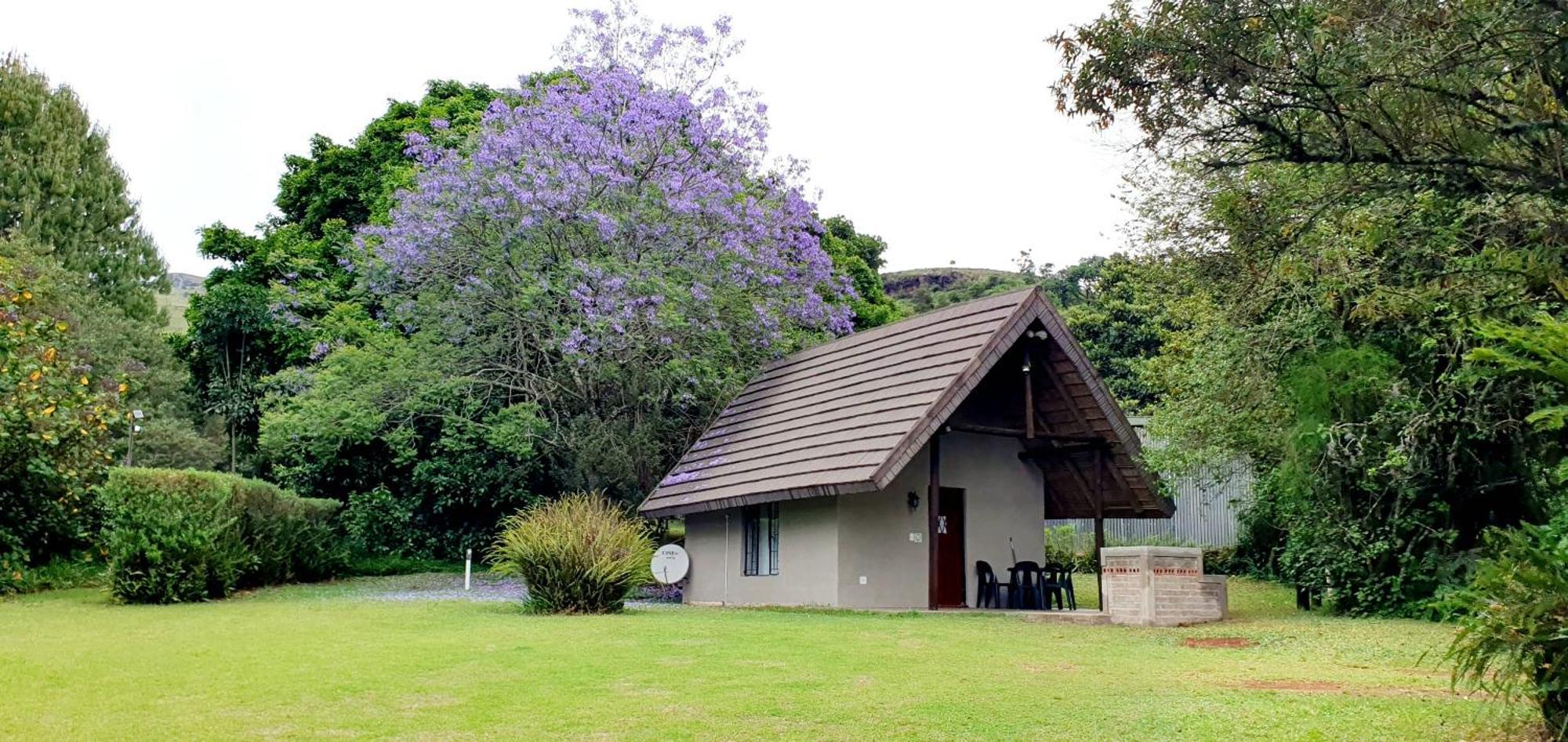 Wild Forest Inn Graskop Exterior photo